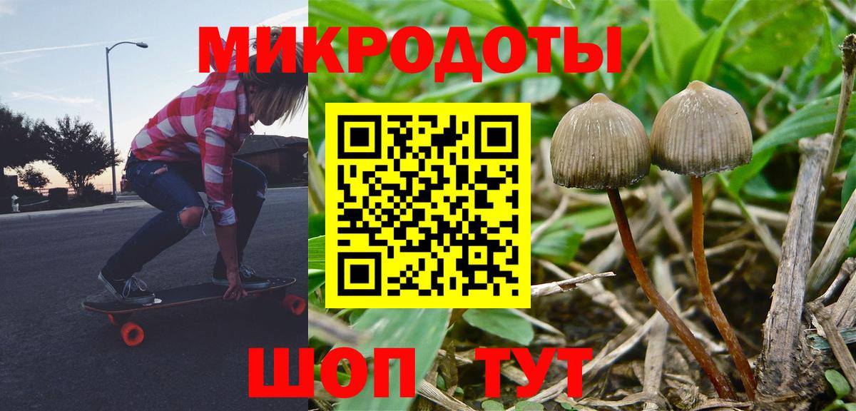 Псилоцибиновые грибы мухоморы  Вход с VPN  Рузаевка 